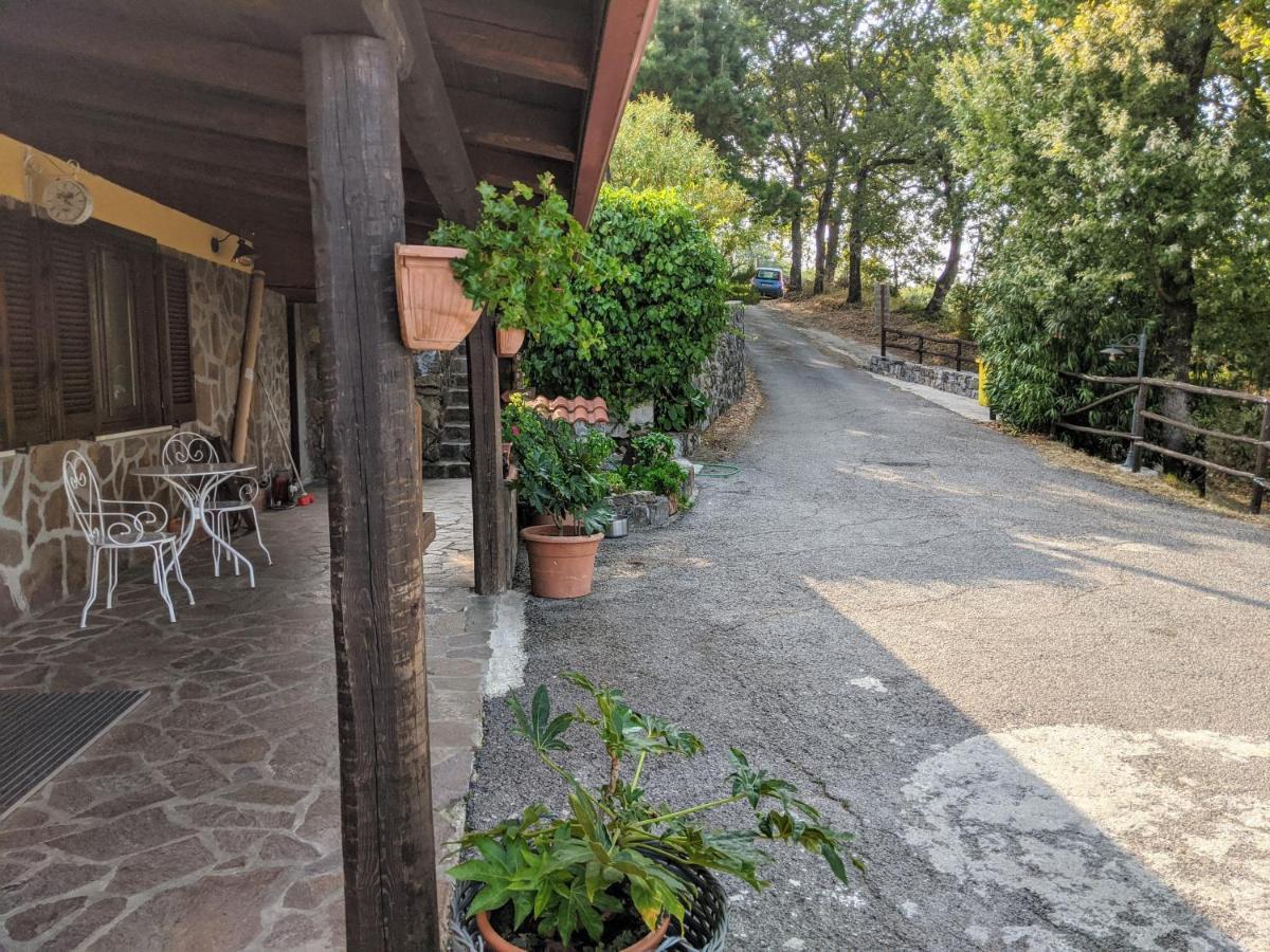 Il Rifugio Del Contadino Art & Nature Bosco  Luaran gambar